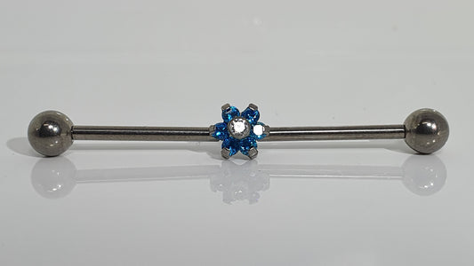 Titanium Crystal Flower Industrial Barbell