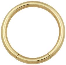 Gold Zircon Segment Ring 1.6mm(14g)