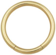 Gold Zircon Segment Ring 1.6mm(14g)